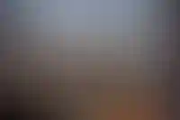 Иностранные бренды покинули на 81% больше торговых площадей, чем арендовали за год