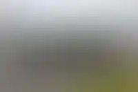 Участок для «Менделеевграда» в Новгороде определят на торгах КРТ до конца 2025 года_4186