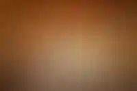 Волгоград стал лидером по доступности загородной недвижимости в сентябре_1250