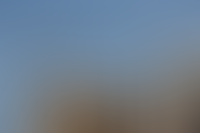 Выручка крупнейших за пределами столиц застройщиков в 2024 году выросла на 3,7 млрд_1675