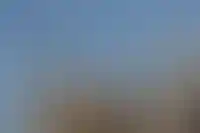 Выручка крупнейших за пределами столиц застройщиков в 2024 году выросла на 3,7 млрд_1675