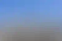 ЦБ снизил ключевую ставку до 15,5% годовых_5646