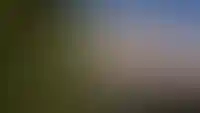 Аренда земли в приграничных районах Курской области обойдется в один рубль_1039