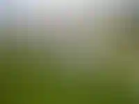 Зумеры мечтают о загородном доме: 67% хотят купить коттедж_3165