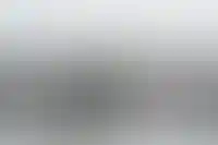 GloraX построит «город в городе» во Владимире за 40 млрд рублей
_163