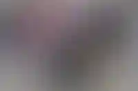 Студии и однушки в Москве стали лидерами по спросу на Wildberries_5049