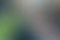 Число дел о банкротствах строительных компаний сократилось в 20 регионах России_2641