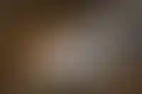 РАД выставил на торги имущество банкрота «Метрострой» в Петербурге на 1,19 млрд рублей_1188