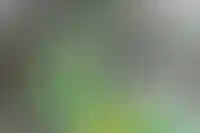 63 квартиры экс-владельцев «Макфы» решением суда передали Минобороны_4882