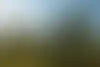 DEVISION: «При идеальном проекте выручка может упасть лишь из-за неверной оценки спроса на квадратуру квартир»_520