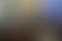 Что предложили власти для поддержки строительной отрасли на Госсовете_2994