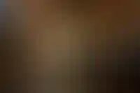 В дорожную карту по замене лифтов в России заложили инфраструктурные кредиты и факторинг_477