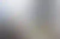 МСП получат право на кредитные каникулы_2788