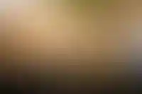 Депутат Госдумы Миронов предложил строить поселки для многодетных семей_3793