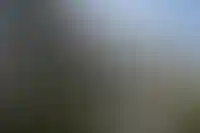 Входные группы в ЖК: чему уделяют внимание застройщики

&nbsp;_194