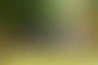 В Госдуме заявили, что закон об эскроу в ИЖС может заработать с 1 марта 2025 года_589