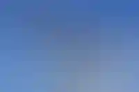 Сфера недвижимого имущества вошла в топ-5 отраслей по снижению числа банкротств_5474