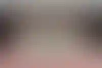 Росреестр планирует поднять стоимость выписок из ЕГРН для юрлиц на 17%_5650