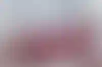 ФАС обязала ЛСР исправить нарушения в радиорекламе рассрочек_5208