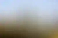 Строители не вошли в предварительный список профессий для упрощенного получения ВНЖ_2768