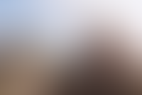 Возле Пулково выставили на продажу участок земли, на котором можно построить отель_863