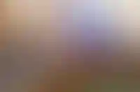 На IT-ипотеку дополнительно выделили 61 млрд рублей_3255