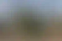 В России построят 25 кампусов для студентов за 723 млрд рублей_3506