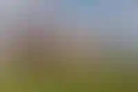 ИНСИТИ девелопмент завершил строительство одной из самых крупных школ в ЮФО_3857