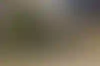 Взявшие льготную комбо-ипотеку россияне смогут рефинансировать ее рыночную часть_4847