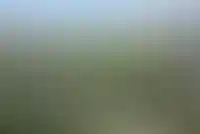 Управляющие компании обяжут обслуживать аварийные дома_623