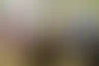 Путин обратил внимание на снижение запусков новых проектов в строительстве_3116