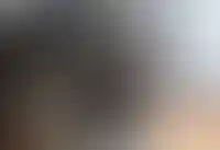 Риелтор на самозанятости: может ли работать, как заключить с ним договор_3398