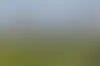 ГК «Самолет» может продать за 5,5 млрд рублей проект на Васильевском острове в Петербурге_3628