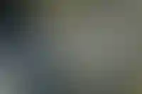 Сотка земли в Подмосковье и Новой Москве в среднем подорожала на 4,1% за год_4533