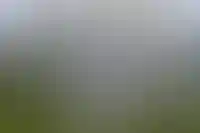 На Кавказском инвестфоруме заключили сделок на 93 млрд рублей_699