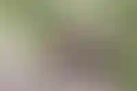 Семьи с одним ребенком увеличили использование маткапитала в 23 раза_3865