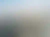 ЛСР и ПИК не будут просить финпомощь у государства