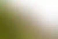 Число застройщиков-участников проектов КРТ выросло с 2023 года в 3,2 раза_1539