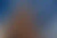 От процентов к квадратным метрам: в какую недвижимость могут перетечь деньги с депозитов_5217