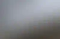 ДОМ.РФ предположил сохранение ключевой ставки ЦБ в феврале_2381