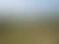 GloraX: инвестиционную привлекательность имеют 5% земельного банка России_2674