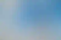 Заявление на подключение к электросетям можно будет подать через госуслуги_982