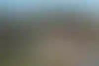 Эксперимент по легализации гостевых домов в ИЖС распространят на дачные участки_4236