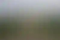 Москвичи вдвое чаще запрещали сделки с недвижимостью без личного участия_3568