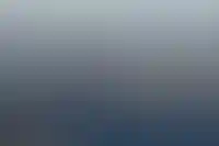 Девелопер «ГК Страна» продает 87 га земли в Петербурге на аукционе_3103