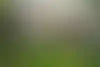 Готовый дом дешевле квартиры в новостройке на 66%_2521