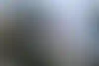 Госдума отклонила законопроект о контроле над ДКП Центробанка_3526