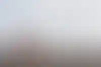 В «Бруснике» опровергли покупку части проекта «Рублевские кварталы» у «Самолета»_4089