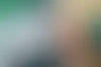 Выдача ипотеки в первой половине января сократилась на 80%_2260