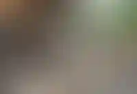 Белгородский цементный завод приостанавливает производство из-за снижения спроса_3836